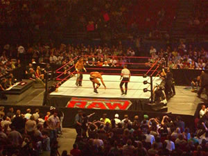 HBK Shawn Michaels vs WWE Champion Randy Orton 